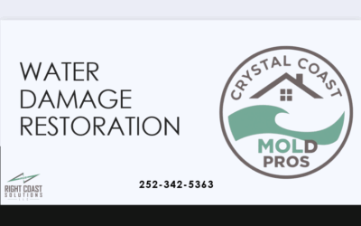 The Top 5 Benefits of Professional Water Damage Restoration for Homeowners