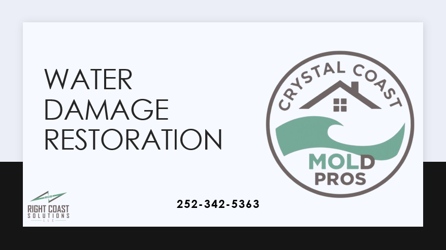 The Top 5 Benefits of Professional Water Damage Restoration for Homeowners